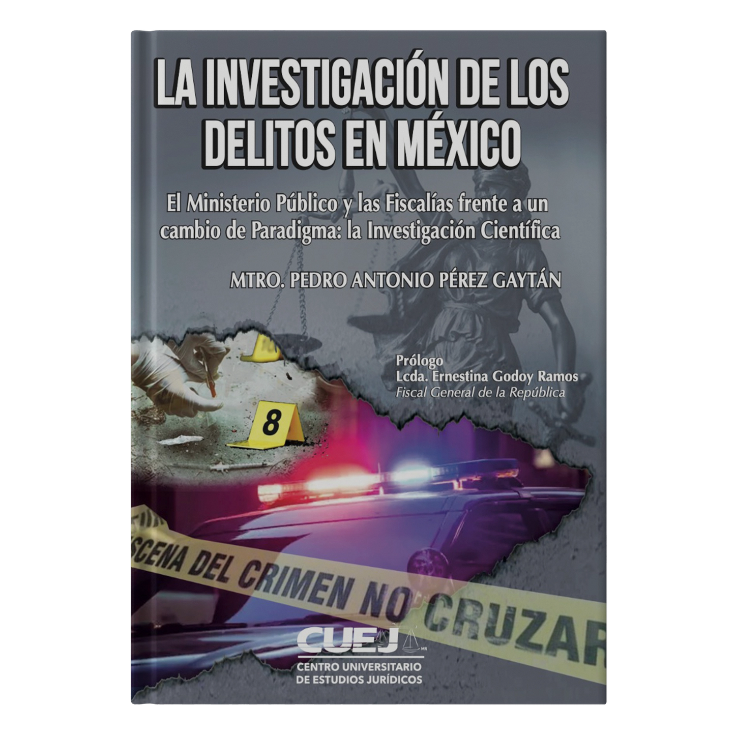 La investigación de los Delitos en México
