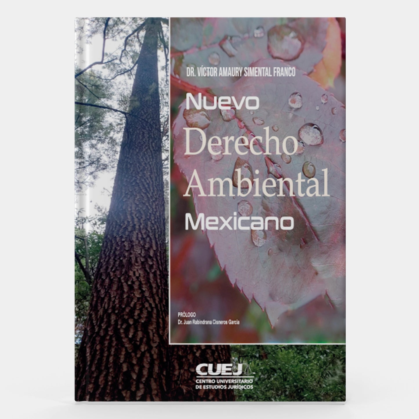 Nuevo Derecho Ambiental Mexicano